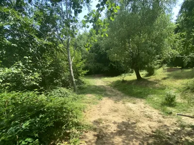 Drum acces teren vanzare Breaza de Sus Prahova padure